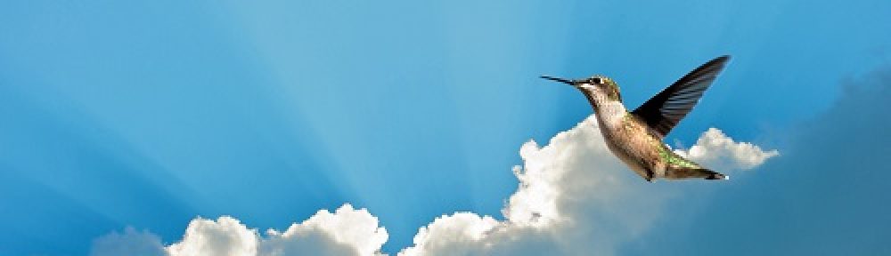 盛岡セラピールーム・ハミングバード